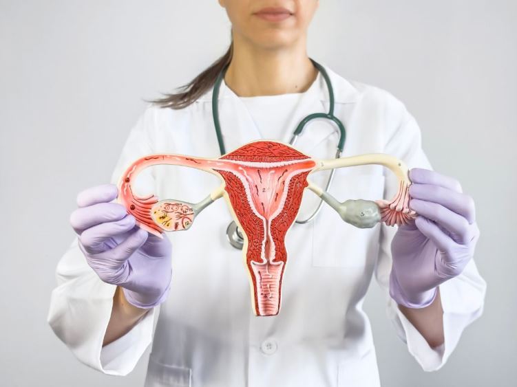 Настав час пройти щорічний гінекологічний огляд