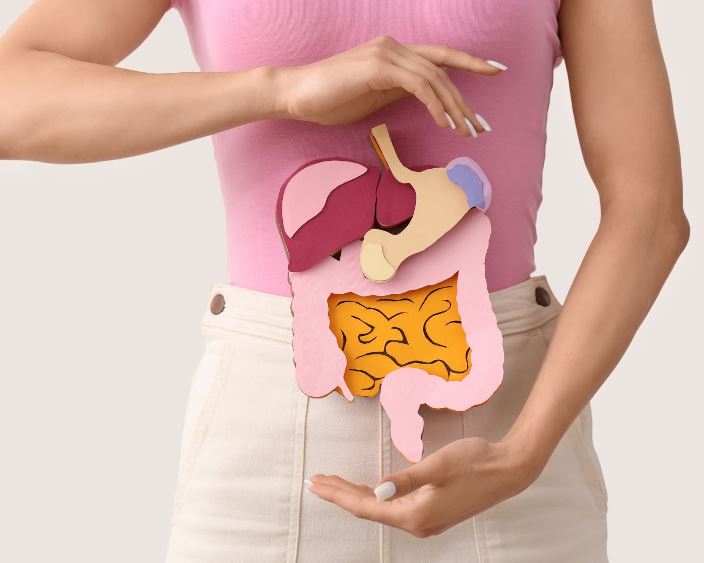 Перевірити травну систему