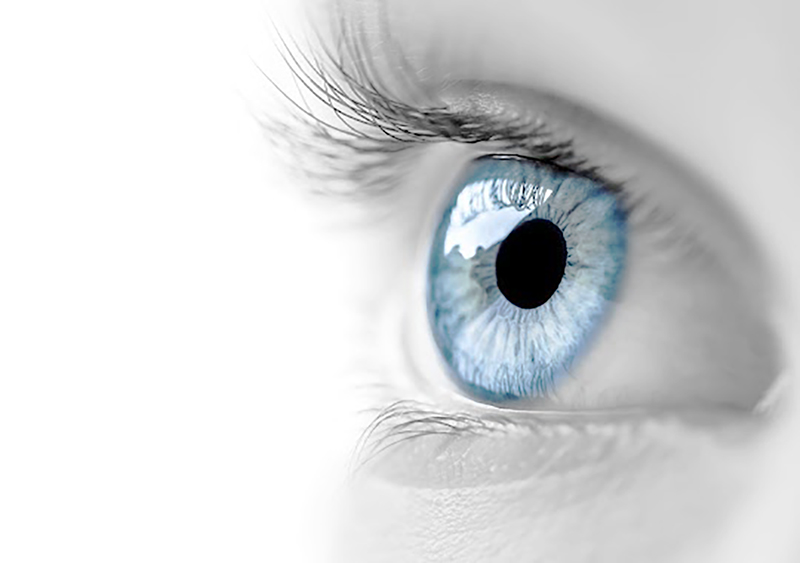 Факоемульсифікація – ефективний метод відновлення зору при катаракті у Житомирі