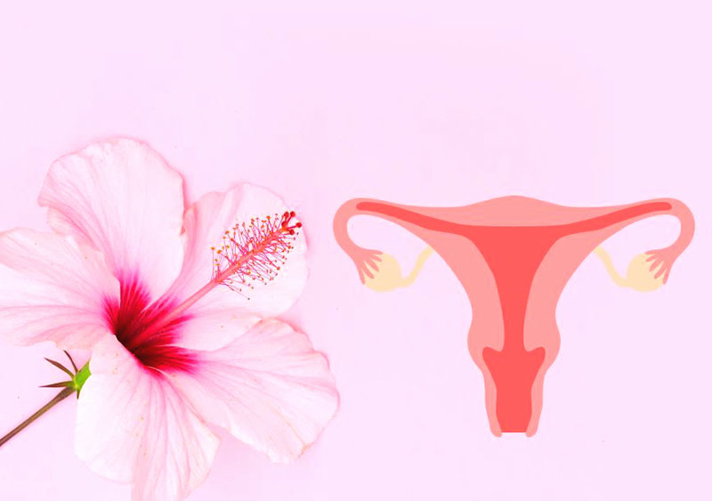 Рак шийки матки: як запобігти небезпечній хворобі