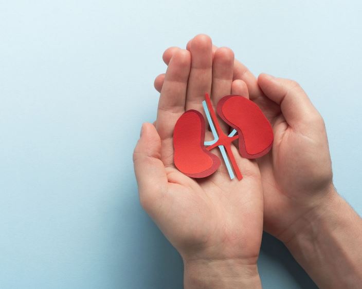 Як давно ви перевіряли свої нирки?