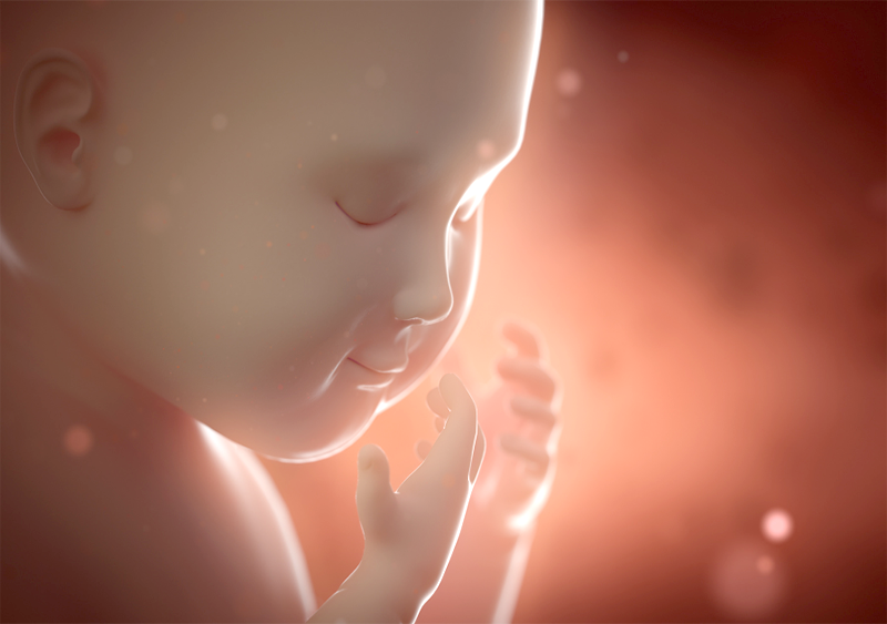Ультразвукова діагностика – важливе обстеження при вагітності