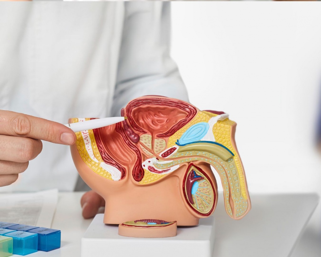 Біопсія простати