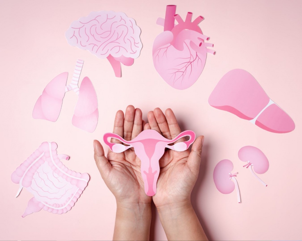 Чек ап жіночого здоров'я