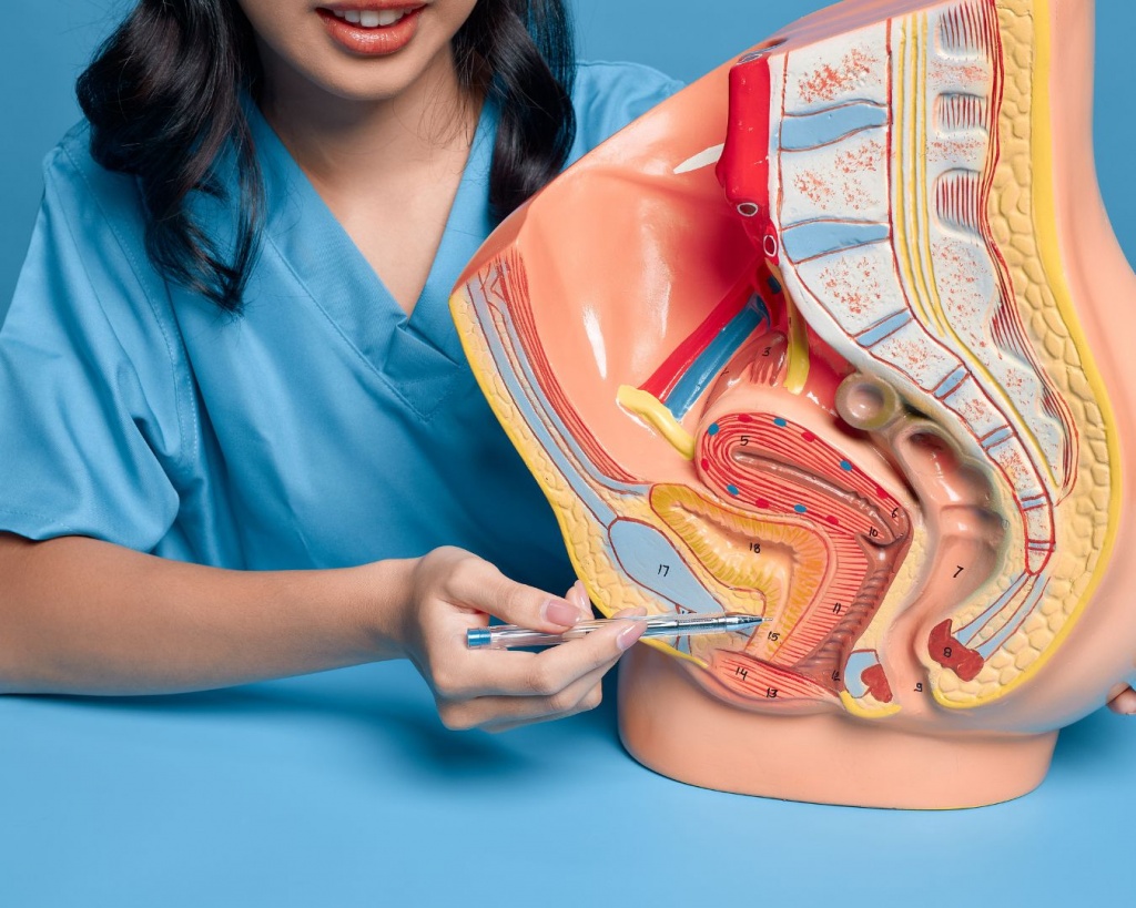 Біопсія сечового міхура